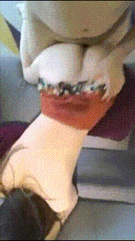 3.gif