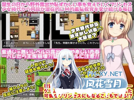 [RPG/精翻汉化/动态/口交/多P/触手/NTR][RJ241534/千年郷社团]公主卖春奋斗记/プリンセスが夜中に変装して露出や売春するRPG。ネタバレは淫魔封印戦...-5.jpg