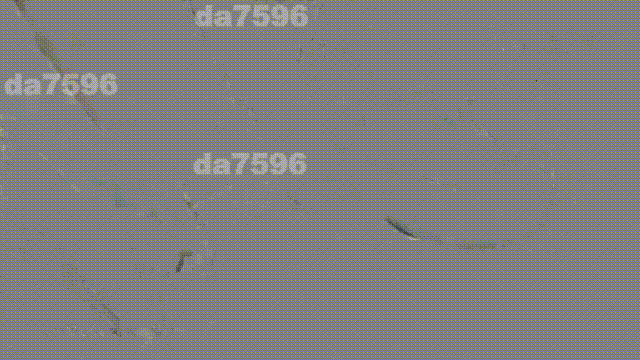 [RPG/PC+安卓]我的魔戒生活[合集修复版+攻略][17.30G]-5.gif