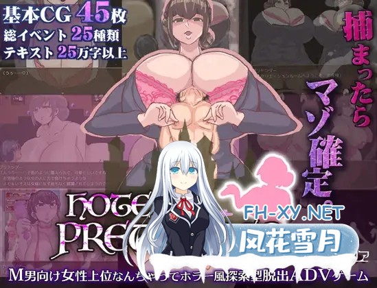 [RPG/机翻+AI文本/巨乳/小马拉大车][RJ01327608/マゾフロア社团]HOTEL PRETENDER(ホテルプリテンダー)[PC/1G]-1.jpg