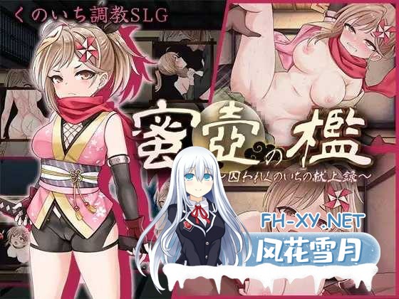 [SLG/AI汉化/动态CG/新作/CV] 蜜壶之笼～被囚禁的女忍者的献上记录～AI汉化版 [950M]-1.png