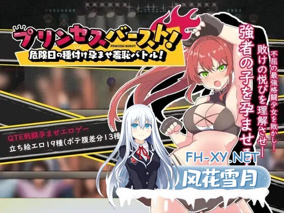 [RPG/官中]激战公主！危险日受孕的羞耻之战！（プリンセスバースト!）v1.02 官中步兵版[700M]-5.jpg