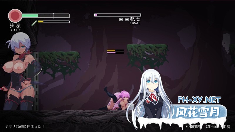 [ACT/更新/像素/动态/西瓜肚/战斗H]忍者的冒险/復讐の夜霧 Yagiri 動作確認版[Ver0.31 V2025.2.28][PC/300M]-5.jpg