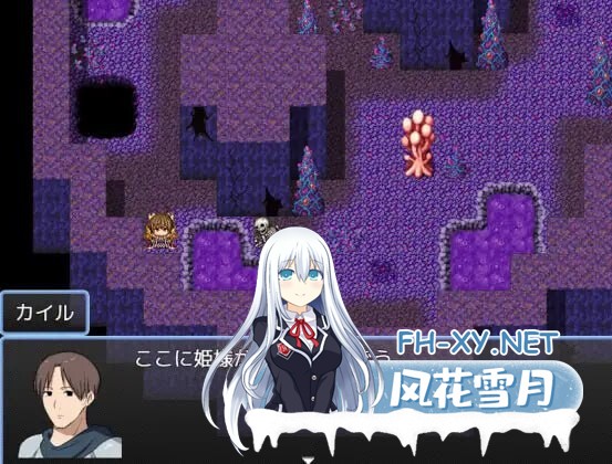 [日式RPG/新安卓] 公主营救大作战!お姫様救出クエスト  内嵌AI汉化版 [570M]-8.jpg