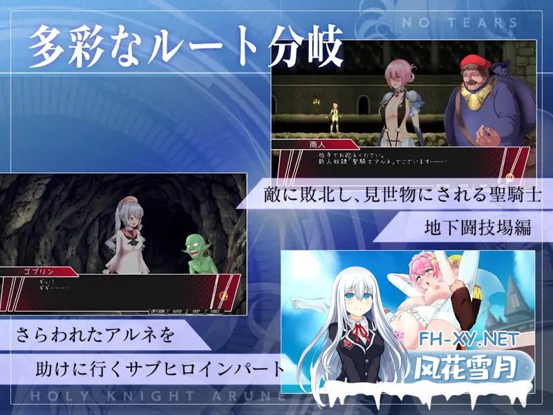 (补)[ACT/动态/DL官中/幻想/NTR/中出/巨乳/更新][RJ319122/NoTears社团]圣骑士阿尔内与魔孕的咒印/聖騎士アルネと魔孕の呪印～Another No Tears～[Ver1.0.10][PC...-10.jpg