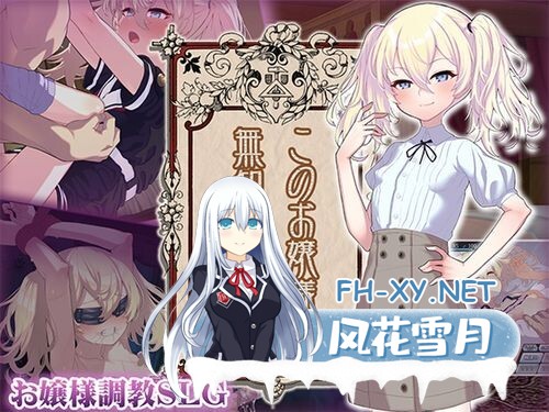 [日式SLG/AI汉化]这位小姐,因无知所致/このお嬢様、無知につき V5 Ver1.2.3 AI汉化版[500M/更新]-1.jpg