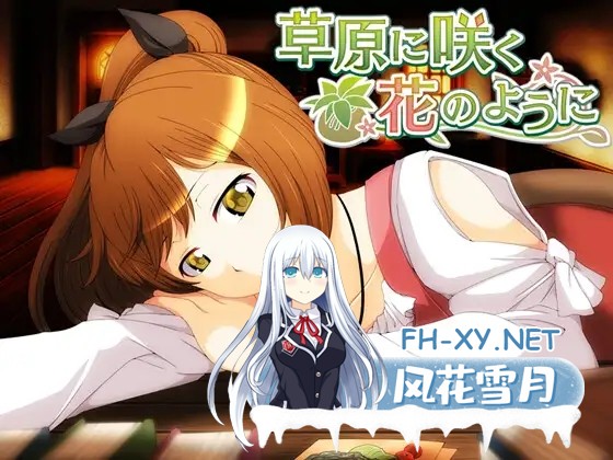 [RPG/AI汉化/幻想/中出/羞辱/强X/异种X][RJ391543/circle J社团]就像草地上盛开的花朵/草原に咲く花のように[双端/800M]-1.jpg