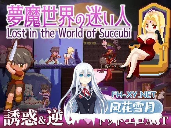 [日系ACT/官中/全动态/PC]沉沦梦魔世界 夢魔世界の迷い人 Ver1.0.3 官方中文步兵版[543M]-1.jpg