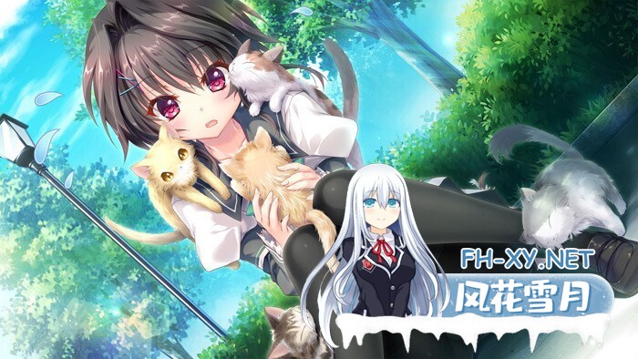 [拔作ADV/汉化/骨科/后宫/PC]9-nine:雪色雪花雪余痕 完整汉化版付全系列作品合集[12.9G/全CV]-12.jpg