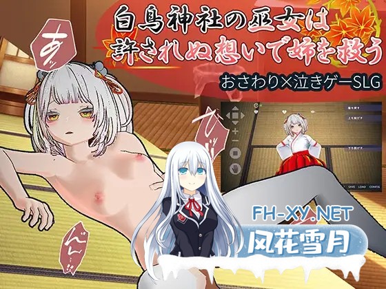 [3D/DL官中/触摸/巫女/NTR][RJ01515297/ハーフトーンドット社团]白鸟神社的巫女以禁忌之念拯救姐姐/白鳥神社の巫女は許されぬ想いで姉を救う[PC/4.0G]-11.jpg