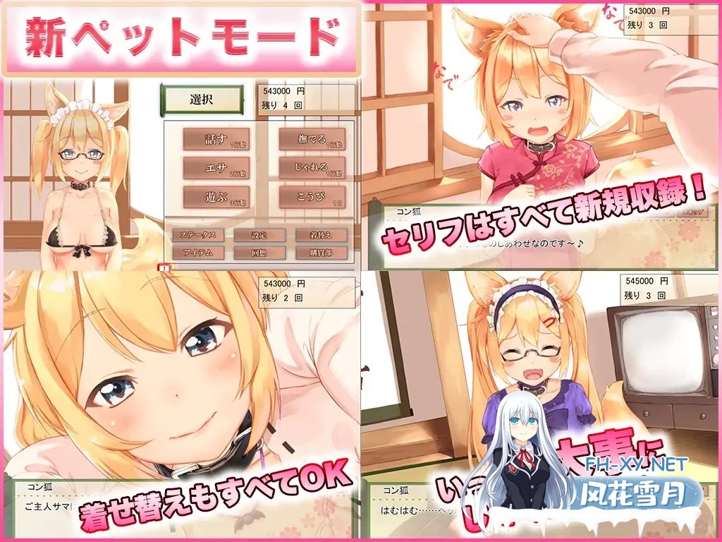 [互动SLG/官中/奇幻/PC]我与空狐的日常+ コン狐との日常+ v1.5 官方中文版[3.66G/CV]-6.jpg