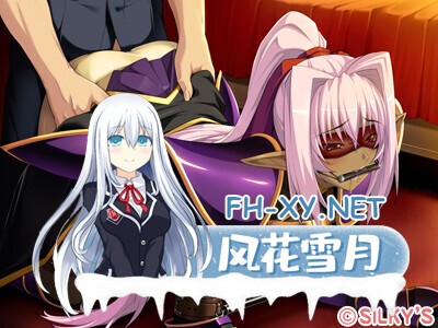 [ADV/AI汉化/步兵/巨乳/淫乱]姬骑士奥丽维亚～喂，变态，你这个变态男！稍微有点羞耻心好吗！～/姫騎士オリヴィア～へ、変態、この変態男！ 少...-12.jpg