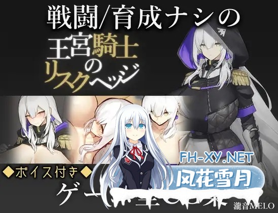 [日系RPG/汉化/怀孕//PC]王宫骑士的决心 王宮騎士のリスクヘッジ Mtool汉化版[1.02G]-1.jpg