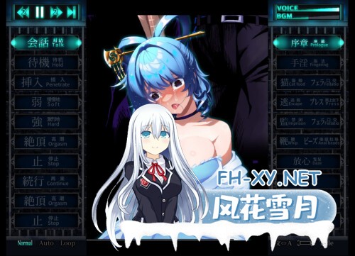 [ADV/PC] 惩罚娘娘Ｒ Punishment NyanNyan R v1.4 官方中文版 [2.02G]-2.jpg