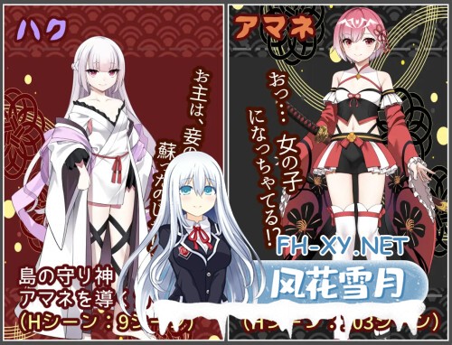 [RPG/PC] 白龙之巫女与神宿之祸岛 白龍ノ巫女と神宿りの禍ツ島 AI汉化 [1.06G]-3.jpg